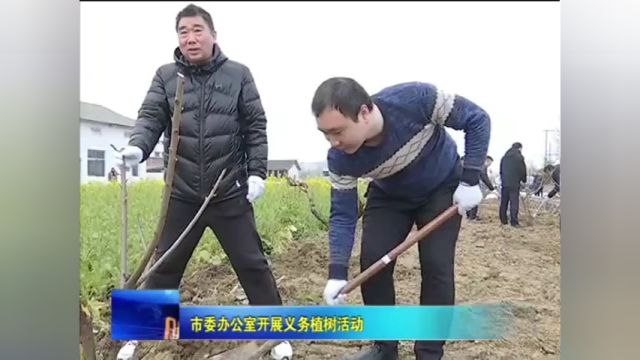 市委办公室开展义务植树活动