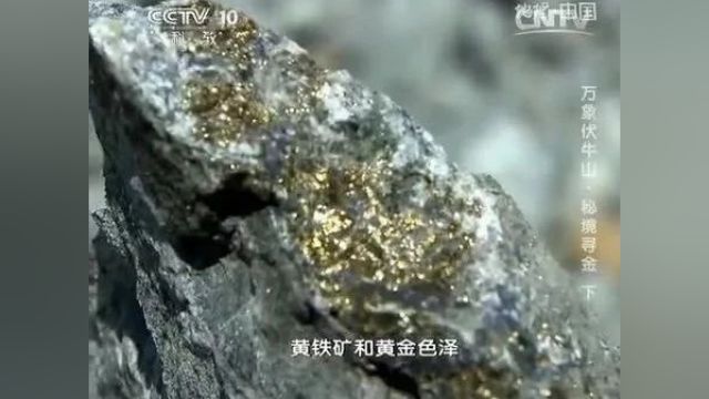 美丽中国|中华名山系列《万象伏牛山》中华大地的脊梁