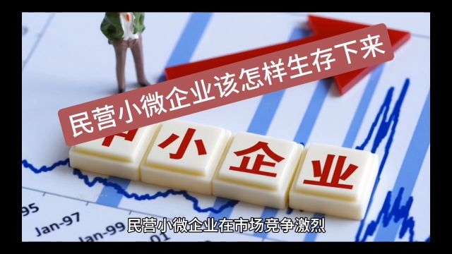 创业智慧 第734期 企业如何利用全要素生产率?#创业 #客户体验 #案例分享