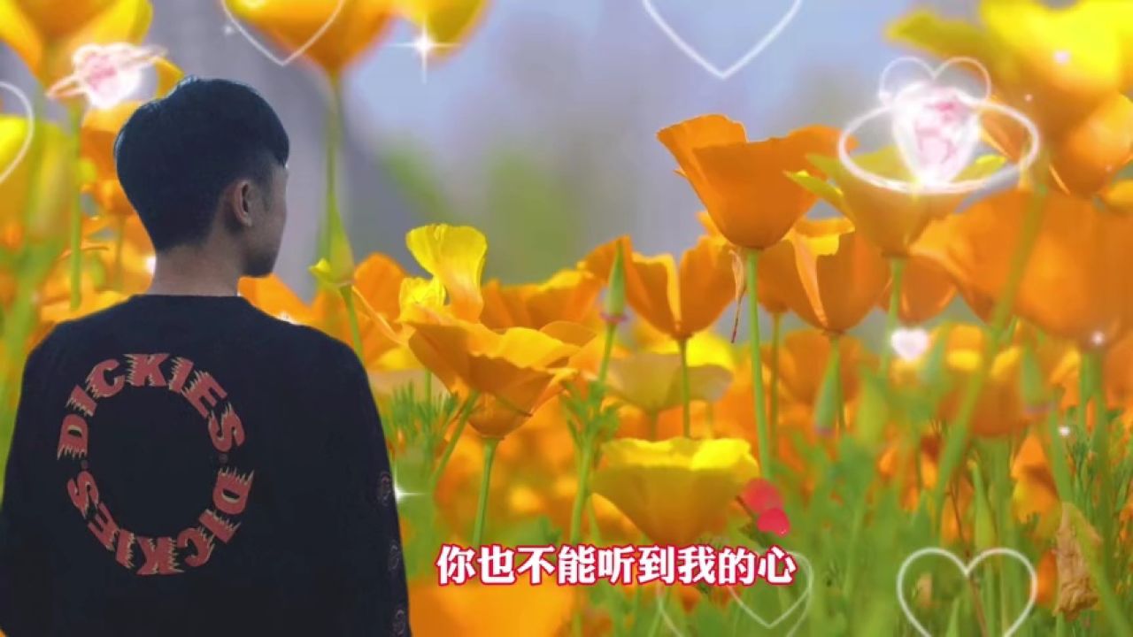 【朝思慕想】一万种想见的理由,却没有一个能见的身份!