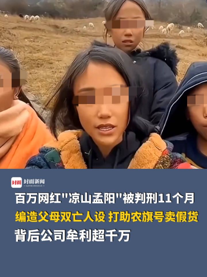 百万网红"凉山孟阳"被判刑11个月,背后公司牟利超千万