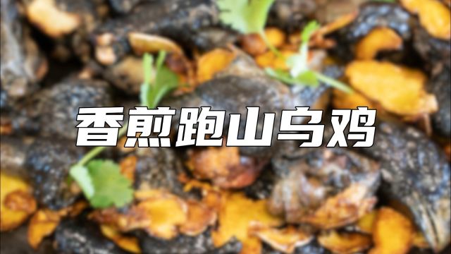 香煎跑山乌鸡烹饪教程