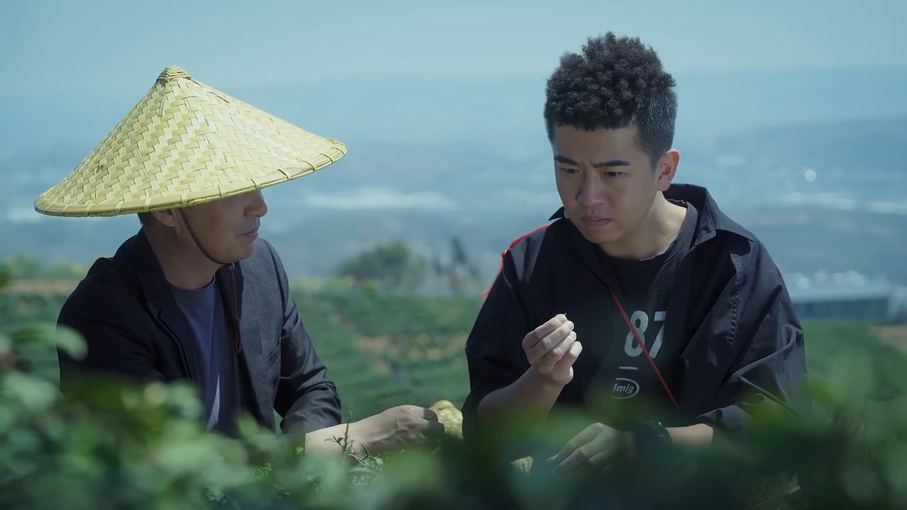 陈翔六点半:给我个机会,我想做个好茶