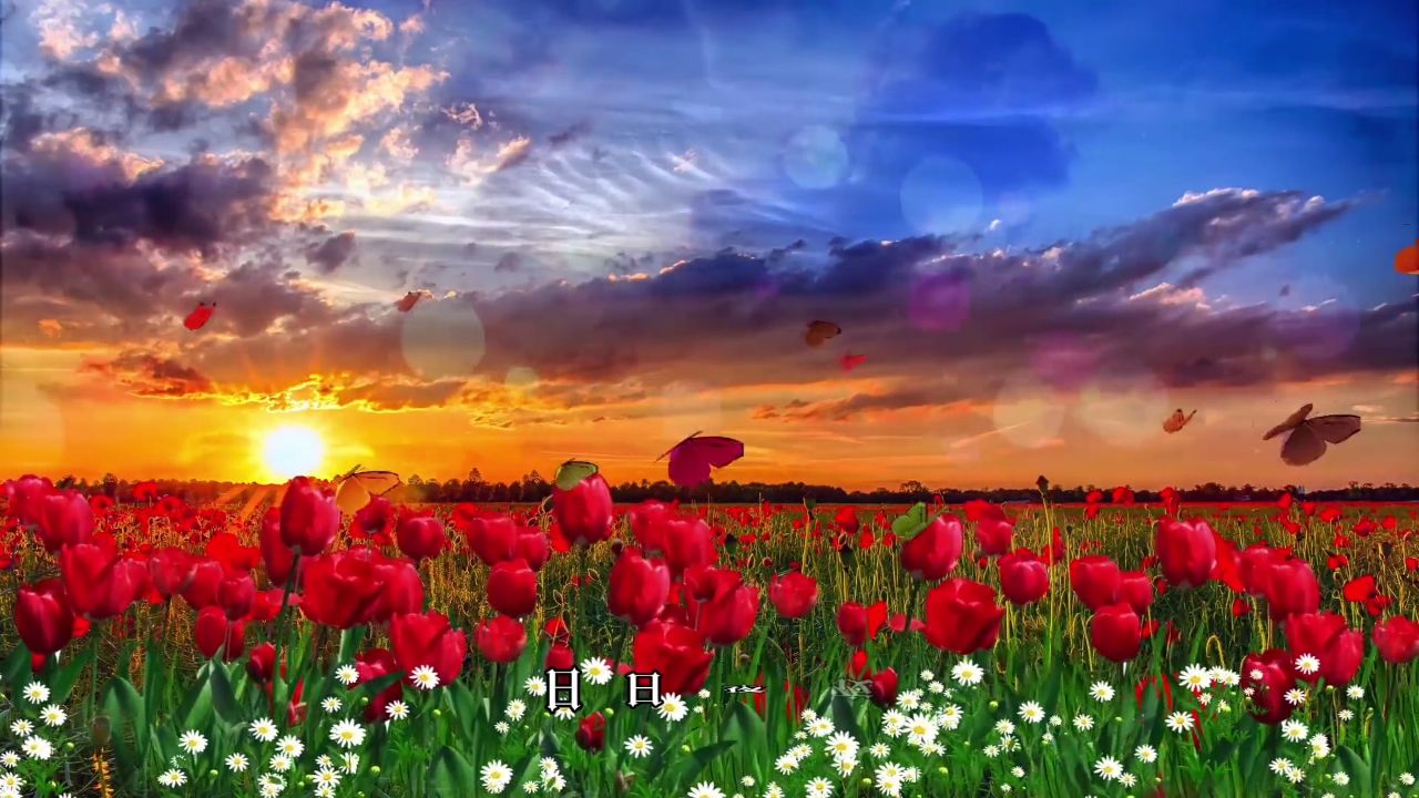 朝朝暮暮思念着你