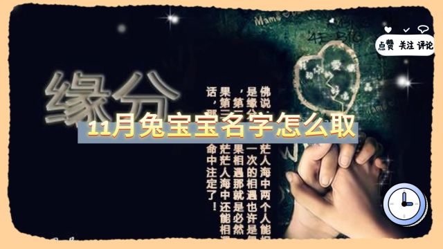 11月兔宝宝名字怎么取