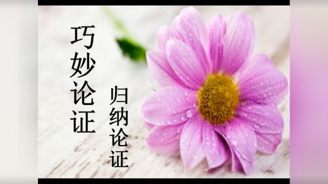 海豚教育怎么样:教你如何归纳论证