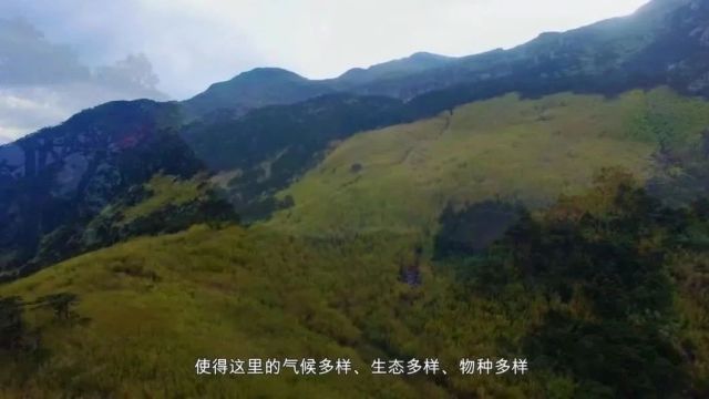 苍山保护管理、入山审批……苍山洱海国家级自然保护区管理局上线《政风行风热线》