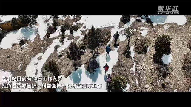 微视频|雪山为证