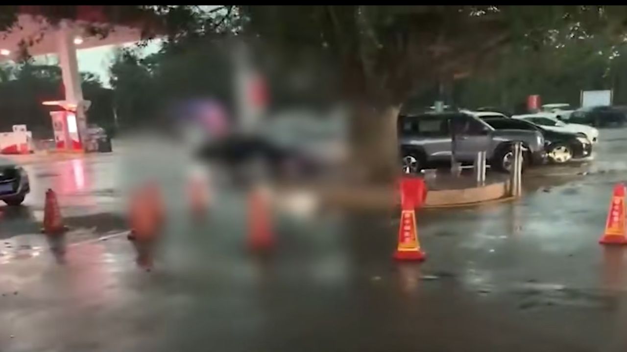 海南一男子雷雨天经过服务区大树 不幸被雷击中倒地不起