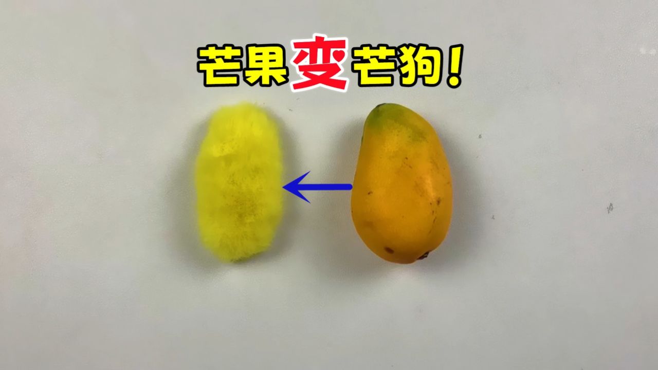 据说用芒果核能制作芒狗玩具?帅小伙实测