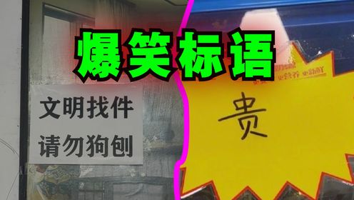 爆笑解说:盘点一些我看了就想笑的标语!_高清1080P在线观看平台_腾讯视频
