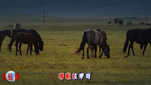 爱旅游爱摄影之《高原蓝》往日时光