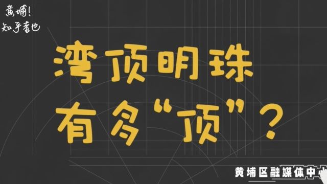 「湾顶明珠」为啥这么「顶」?