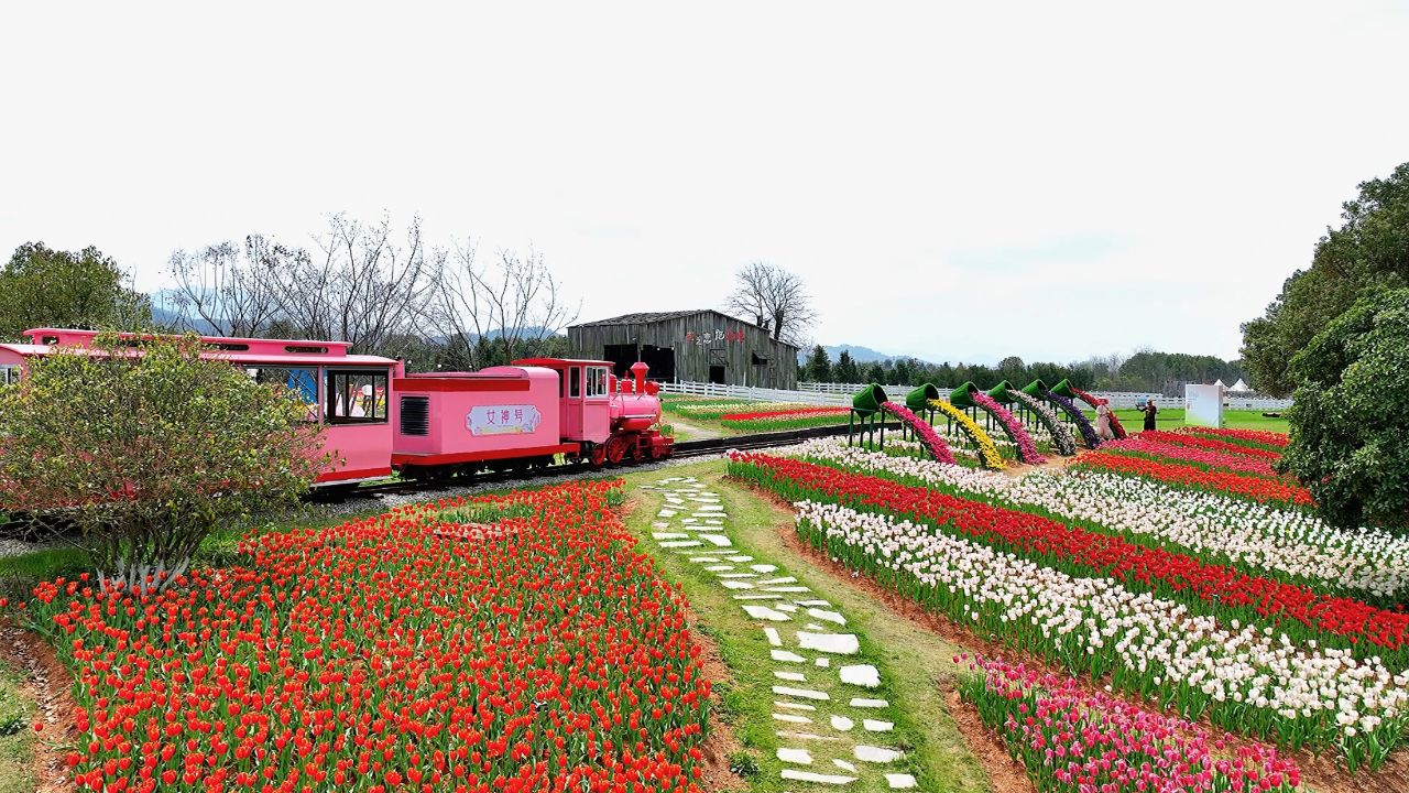 萍乡仙凤三宝 春天浪漫邂逅