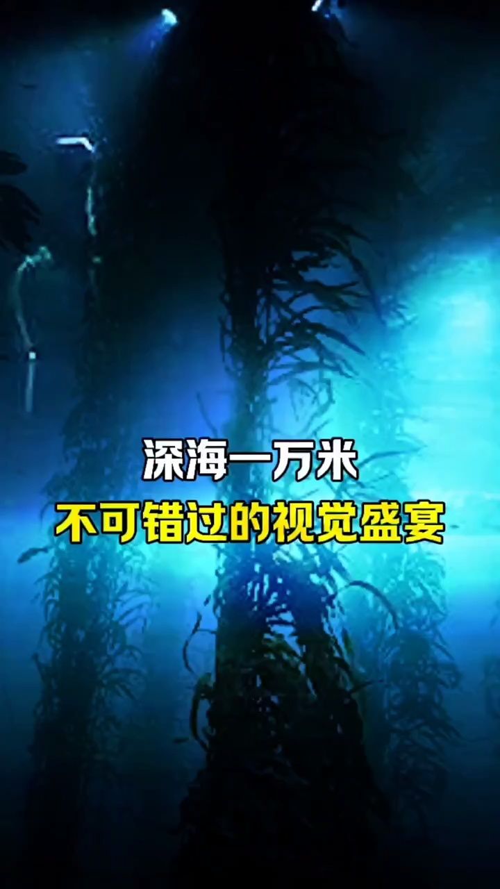 深海一万米到底有什么