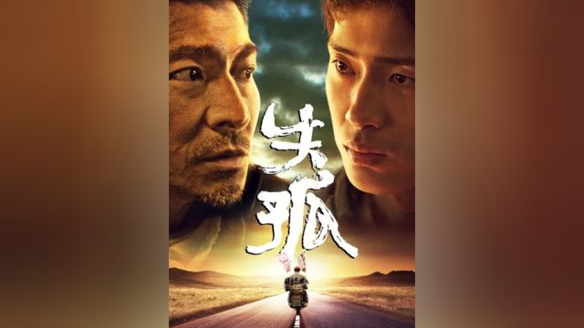 《失孤》完整版:真实故事改编,父亲寻子踏遍全国多个城市