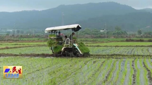 全省唯一!阳江一家庭农场入选全国典型