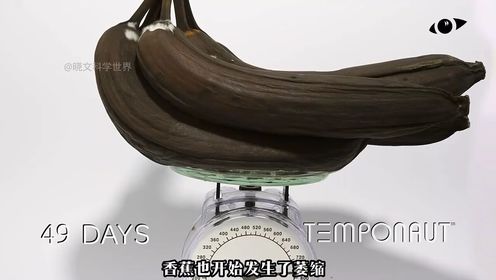 把香蕉暴露在空气中115天，会发生什么变化？