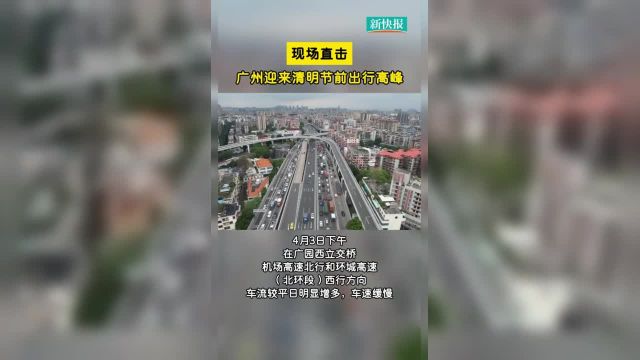 现场直击 据了解高速公路小型客车免费通行时段起止时间为4月4日零时至4月6日24时连续3天免费通行. (新快报记者