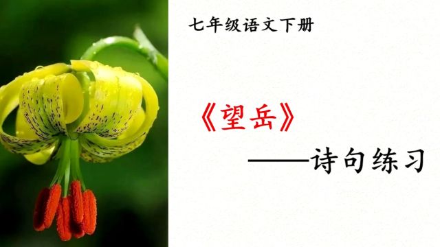 和老师一起来复习唐诗《望岳》吧