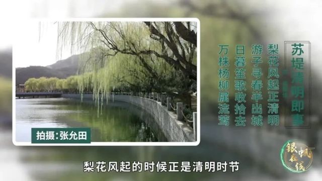 《银帆在线》2024年第五期《清明》篇(总第29期)