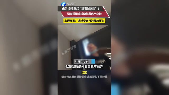 虐杀视频 竟然“越看越激动”?记者揭秘虐杀动物黑色产业链(四