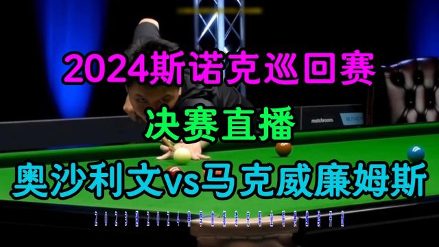 2024斯诺克巡回锦标赛决赛直播:马克威廉姆斯VS罗尼奥沙利文(中文)附全场录像回放