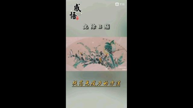 什么是免疫力?