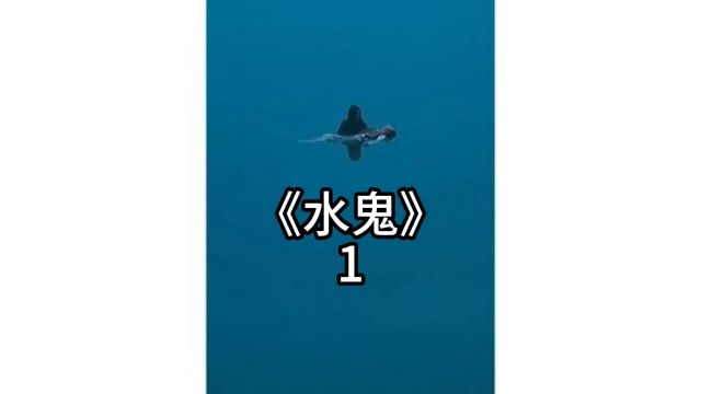 2024恐怖韩国恐怖电影《水鬼》,金克木,木克土,土克水 1