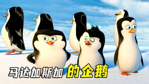 四只企鹅大战章鱼怪，北风特工局也闪亮登场！《马达加斯加的企鹅》