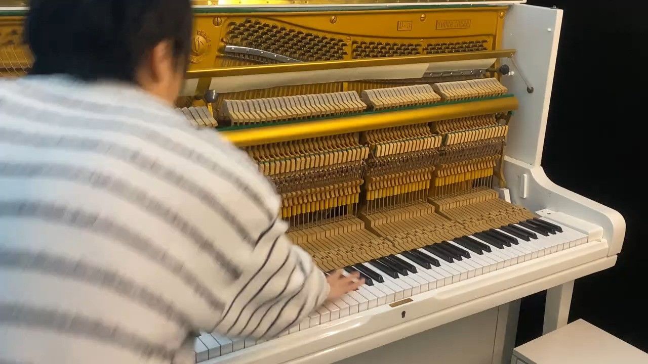 听1000遍反方向的钟 可以回到过去吗