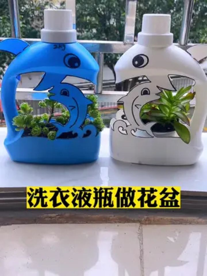 洗衣液瓶做花盆吧好看又不花米#自制花盆 #手工 #变废为宝 #洗衣液
