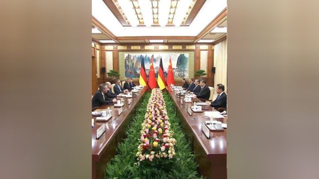 习近平会见德国总理:中德关系始终稳健发展