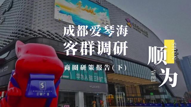 成都爱琴海项目客群调研:商圈研策报告(下