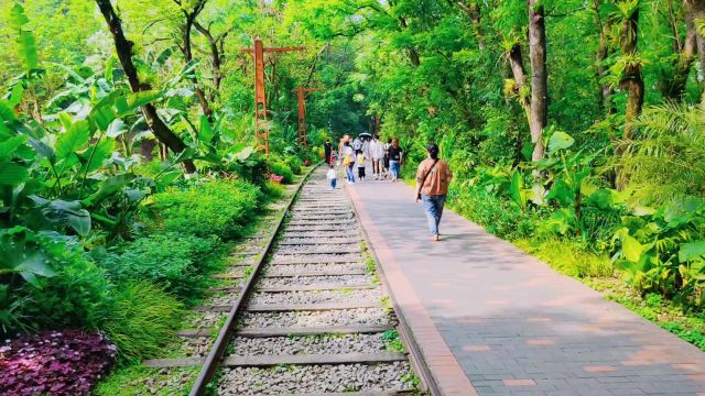 川外小铁路是重庆最美的山城绿道,位于歌乐山脚下,原特钢厂铁路