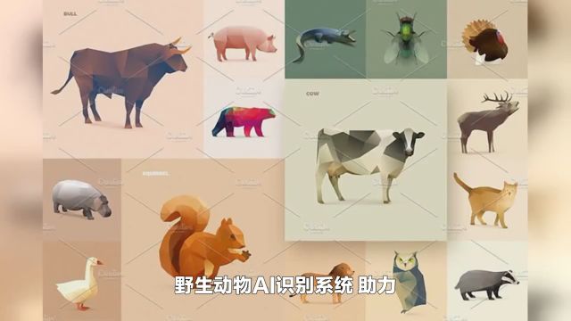 现代科技手段助力野生动物保护