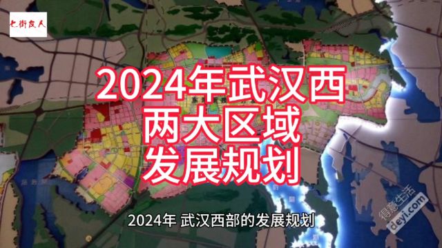 2024年武汉西两大区域发展规划