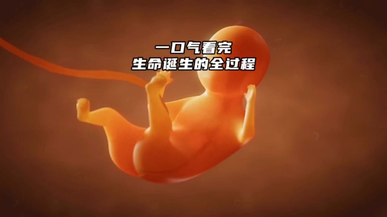 一口气看完生命诞生的全过程!从小蝌蚪开始到胎儿出生,简直太震撼了!_高清1080P在线观看平台_腾讯视频