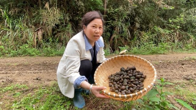 体验童年的回忆捡田螺,做了一道田螺焖鸭脚,真香