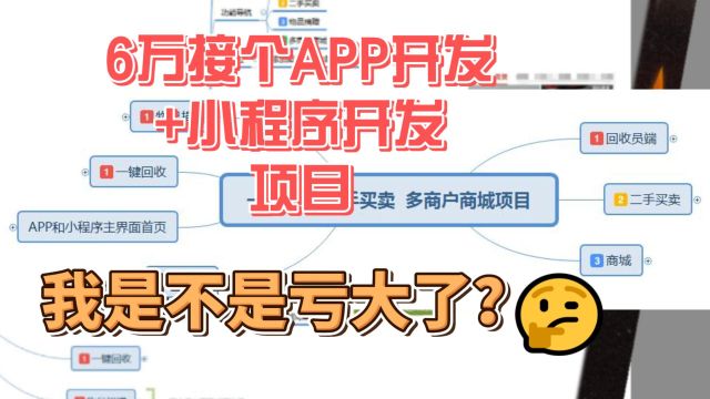 6万接个APP+小程序软件开发项目,亏了吗?