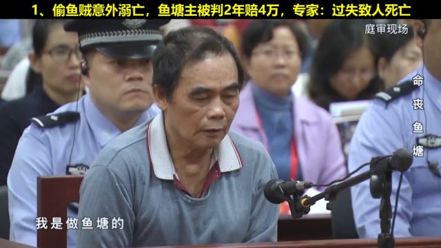 偷鱼意外溺亡,鱼塘主获刑2年赔4万,专家:过失致人死亡