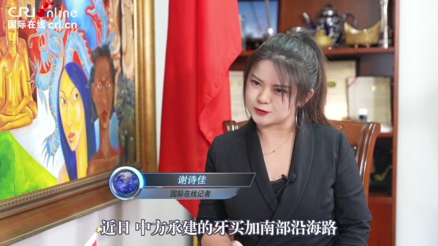 新时代,我看中国|牙买加驻华大使:中国助牙买加发展“洼地”变通达