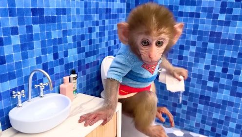 小猴子吉吉可以自己上洗手间的