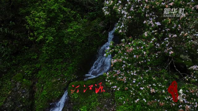 千城百县看中国|福建宁化:加强汀江源管护 绘水清景美画卷