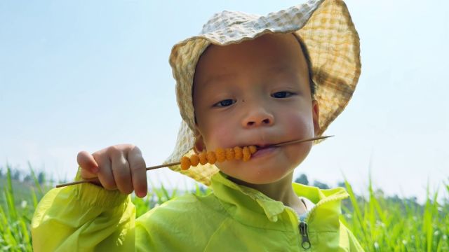 家乡的野果成熟了,2岁宝宝第一次吃黄泡,看着好满足!