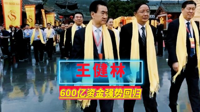 王健林惊天布局:600亿资金强势回归,珠海万达瑞驰成新宠