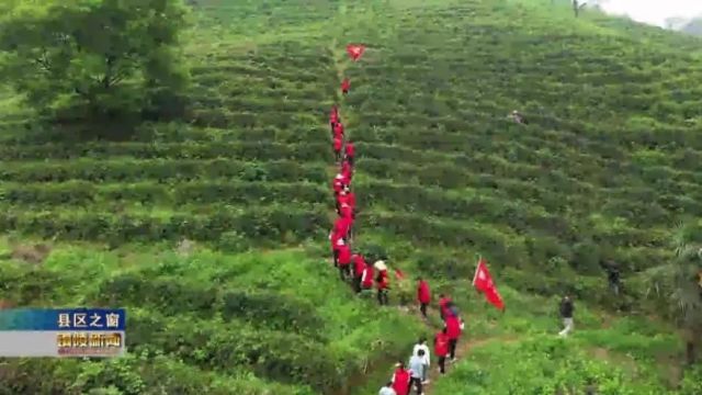 铜官区螺蛳山社区开展志愿服务党建活动