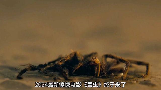 2024年最好看的电影!《害虫》