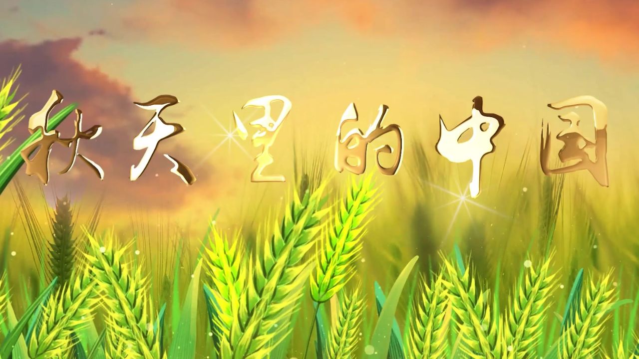 秋天里的中国 诗歌朗诵配乐伴奏舞台演出led背景视频素材