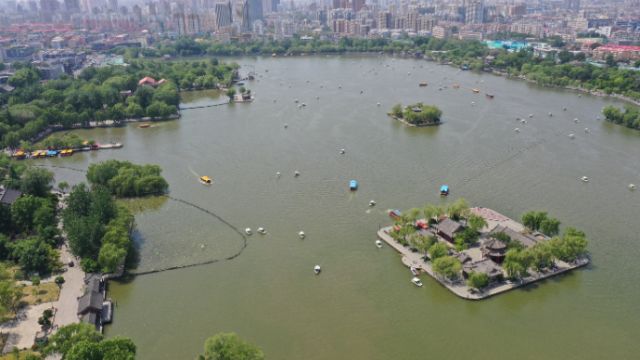 果然视频|夏秋之交的济南大明湖,水清岸绿白船点点